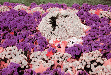 Gartenbild von Lilly Jankowski